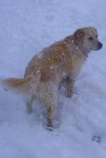 10950672_10153127226457943_6515838346808396549_n