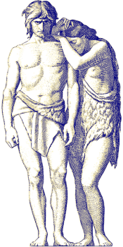 adam-2023246_960_720